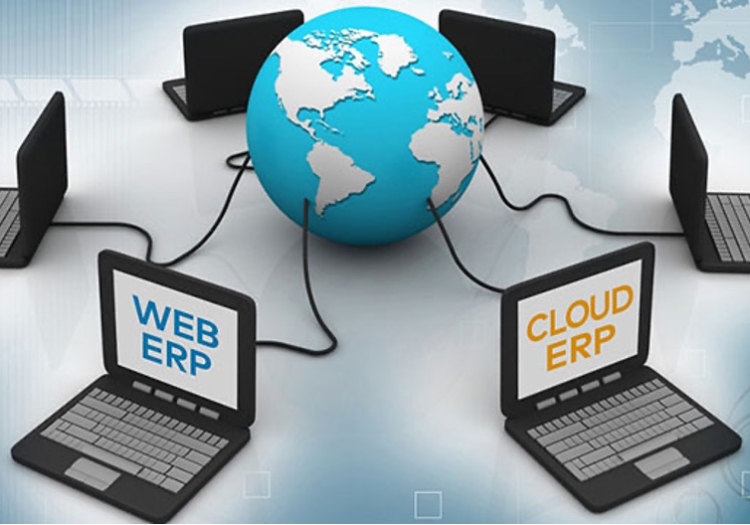 cloud erp vs web erp